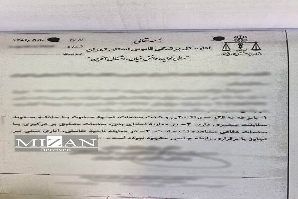 انتشار مستندات جدید از مرگ نیکا شاکرمی