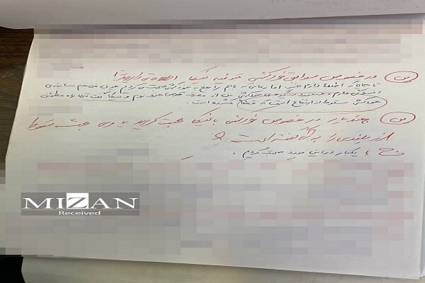 انتشار مستندات جدید از مرگ نیکا شاکرمی