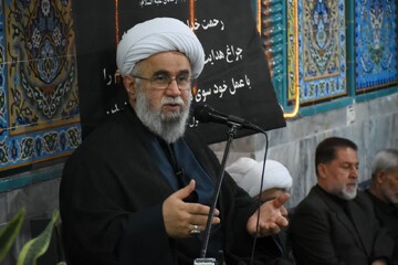 گفتمان انقلاب اسلامی روز به روز در حال گسترش است/ ترویج معارف شیعی توسط امام صادق(ع)