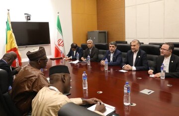 Amir-Abdollahian meets Mali's FM in Gambia