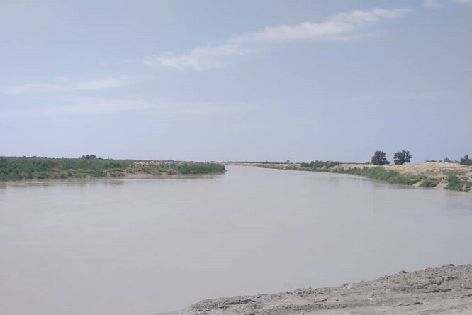 آبگیری تالاب حله؛ امیدی نو برای حیات وحش و اکوسیستم منطقه