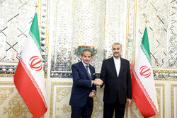 المدير العام للوكالة الدولية للطاقة الذرية يلتقي  وزير الخارجية الإيراني