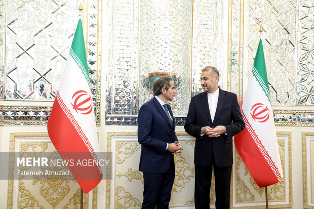 دیدار  مدیرکل آژانس بین‌المللی انرژی اتمی با وزیر امور خارجه ایران