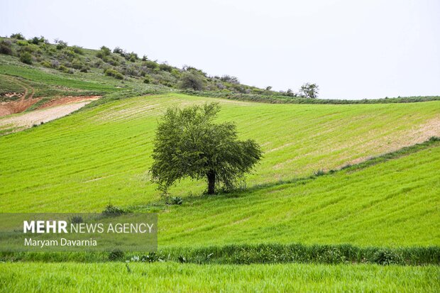 طبیعت اردیبهشتی خراسان شمالی