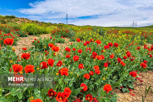 طبیعت اردیبهشتی خراسان شمالی