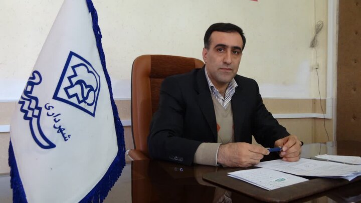 سگهای ولگرد معضل این روزهای سنندجیها/زوزههایی که دلهره آفرینند