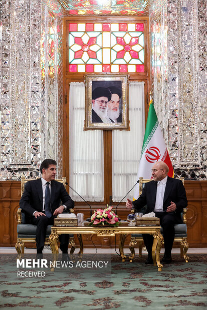 دیدار رئیس اقلیم کردستان عراق با رئیس مجلس شورای اسلامی