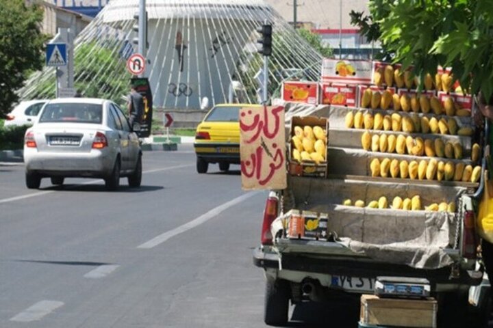 دستفروشان در محور مواصلاتی بوشهر به کنگان ساماندهی شوند دستفروشان در محور مواصلاتی بوشهر به کنگان ساماندهی شوند
