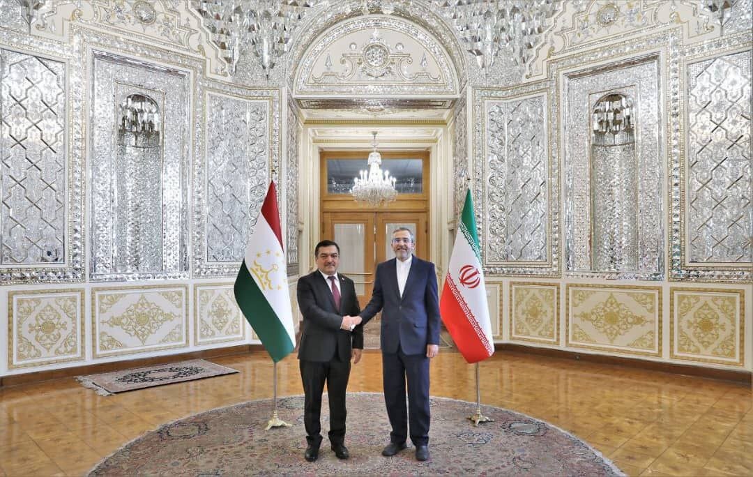 ایران و تاجیکستان باید از ظرفیت‌های سازمان‌های منطقه‌ای بهره برند