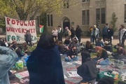 Princeton faculty go on hunger strike in support of Gaza