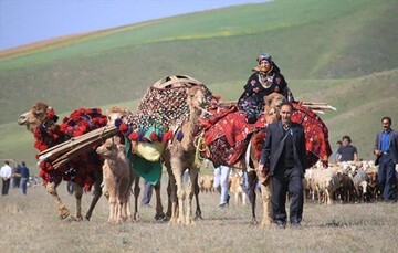 ورود دام به مراتع بدون پروانه مرتعداری جرم محسوب می‌شود