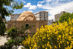 نگهداری کامل میراث فرهنگی توسط یک دستگاه عملی نیست