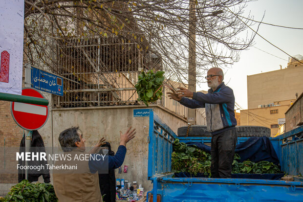 ری یکی از شهرهای مهم ایران باستان و کهنترین شهرهای جهان است بهطوریکه این منطقه را در گذشته «شیخ البلاد» میگفتند. تاریخ سکونت در این شهر به ۶۰۰۰ سال پیش از میلاد برمیگردد