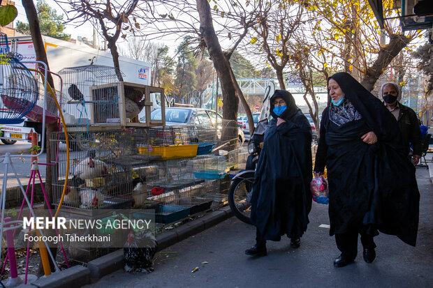 ری یکی از شهرهای مهم ایران باستان و کهنترین شهرهای جهان است بهطوریکه این منطقه را در گذشته «شیخ البلاد» میگفتند. تاریخ سکونت در این شهر به ۶۰۰۰ سال پیش از میلاد برمیگردد