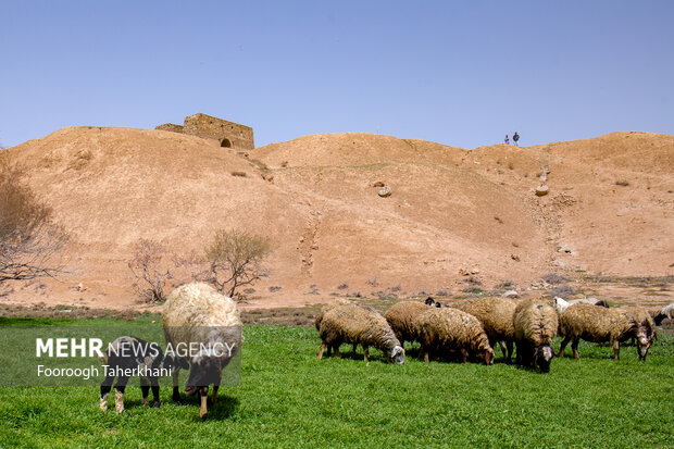 آتشکده بهرام، آتشکده ری یا تپه میل از جمله آثار دوران ساسانیان است که به چراگاه گوسفندان تبدیل شده است