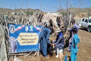 واکسیناسیون هزار و ۵۰۰ رأس دام توسط گروه‌های جهادی در مهرستان