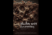 دورخیز «مورچه‌ها» برای ورود به ساندنس آمریکا 