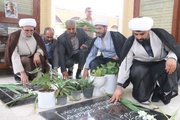 رئیس شورای هماهنگی تبلیغات اسلامی به شهدای بوشهر ادای احترام کرد