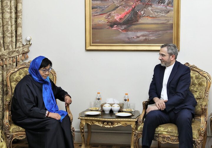 Iran urges UN to prioritize Afghanistan security, welfare