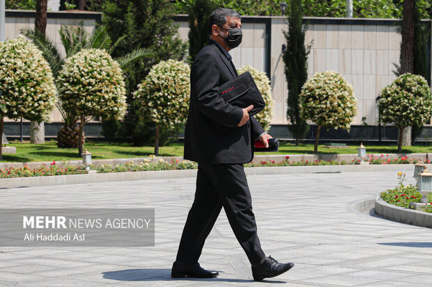 عزت الله ضرغامی وزیر میراث فرهنگی در حاشیه جلسه هیات دولت
