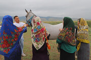 هجدهمین جشنواره ملی زیبایی اسب اصیل ترکمن