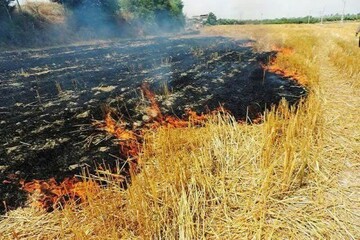 آتش سوزی در مزارع کشاورزی دره شهر