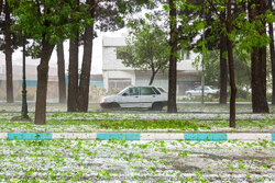 خسارت سنگین بارش تگرگ به روستاهای شهرستان اهر