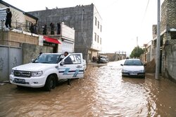 بارندگی و جاری شدن روان آب در رودبارک کلاردشت