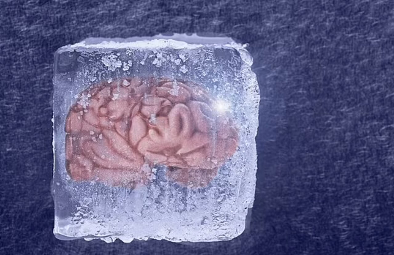 محققان چینی مغز را پس از انجماد زنده کردند