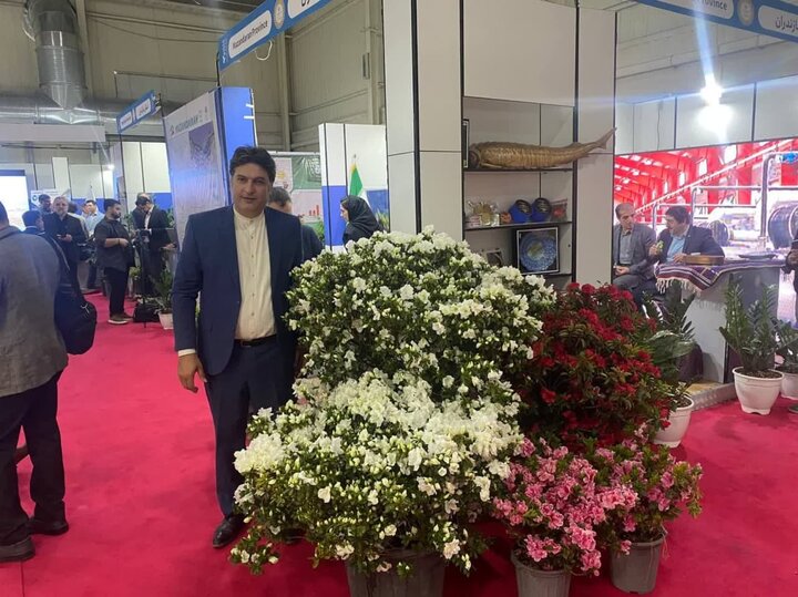 نمایشگاه بزرگ گل وگیاه با ۸۰ غرفه در ساری برگزار می شود نمایشگاه بزرگ گل وگیاه با ۸۰ غرفه در ساری برگزار می شود