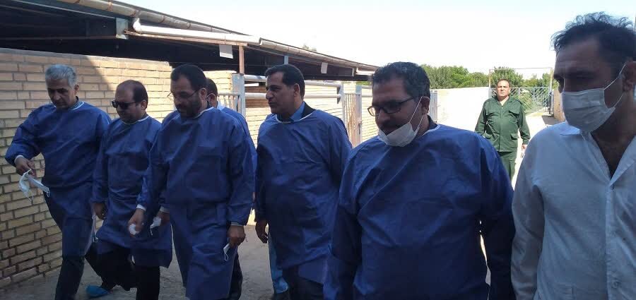 کشتارگاه ها نقش مهمی را در سلامت و بهداشت جامعه ایفا می کنند