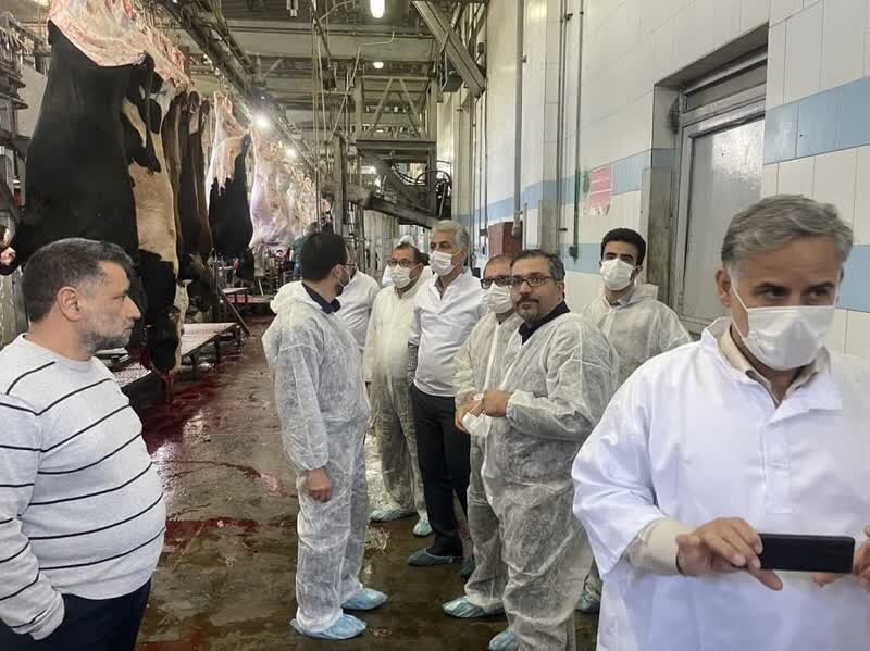 کشتارگاه ها نقش مهمی را در سلامت و بهداشت جامعه ایفا می کنند