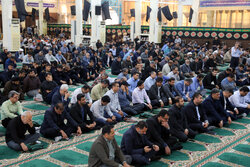 مراسم عزاداری شهادت سید الشهدای خدمت در بوشهر