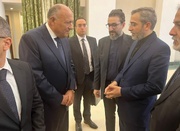 Egyptian FM meets Bagheri Kani on first Iran visit