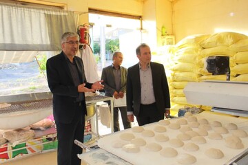 بازرسی از ۴۵ واحد صنفی نانوایی در شهرستان شهرکرد