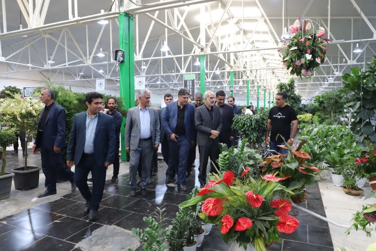 گل و گیاه مازندران جای دیگر پول می شود/ نبود نمایشگاه دائمی