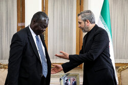 Iran's caretaker FM meets Sudanese, Cuban diplomats