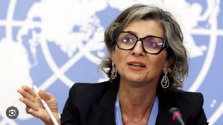 UN special rapporteur calls for imposing sanctions on Israel