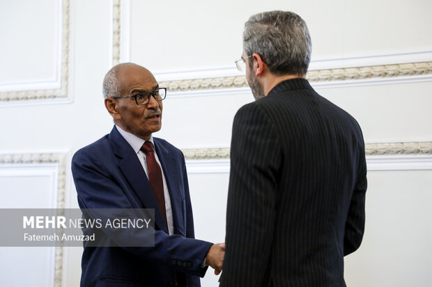 دیدار «حسین عوض» وزیر امور خارجه سودان با سرپرست وزارت امور خارجه