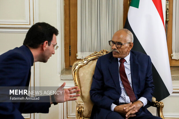 دیدار «حسین عوض» وزیر امور خارجه سودان با سرپرست وزارت امور خارجه