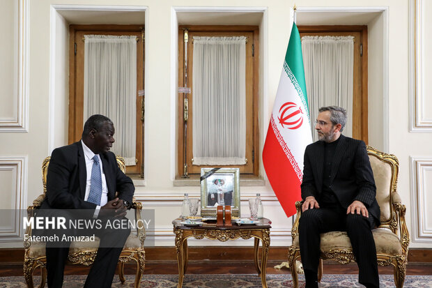 Iran's caretaker FM meets Sudanese, Cuban diplomats