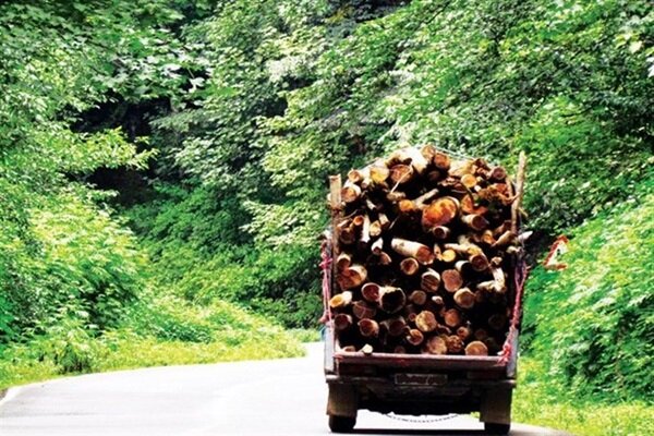 مقابله جدی با قطع درختان و قاچاق چوب در استان مازندران