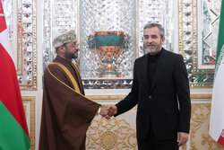 Iran, Oman top diplomats hold talks in Tehran