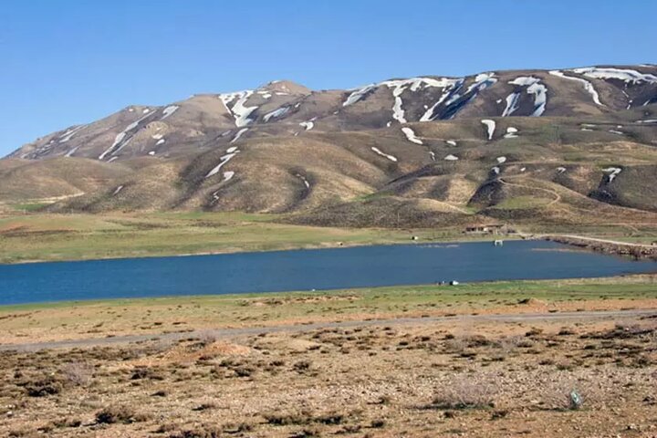 محیط زیست با تأسی از رئیس جمهور شهید جهادگونه عمل میکند