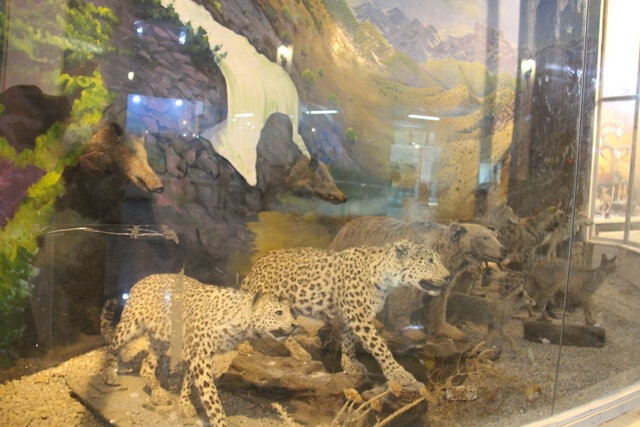 محیط زیست با تأسی از رئیس جمهور شهید جهادگونه عمل میکند