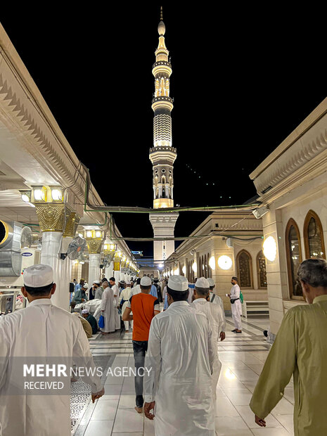 حال و هوای مسجد النبی (ص) در ایام حج ۱۴۰۳