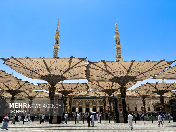 حال و هوای مسجد النبی (ص) در ایام حج ۱۴۰۳