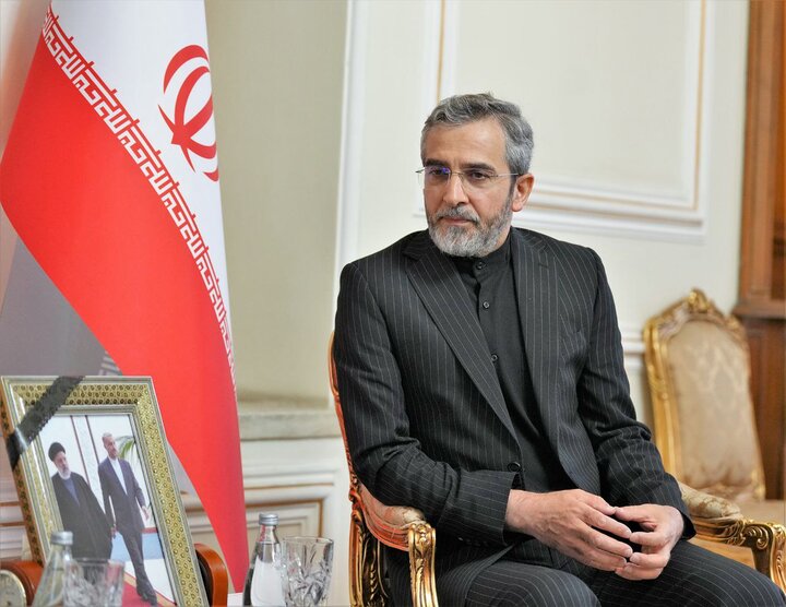 ڈی 8 ممالک صہیونی حکومت کو مزید ڈھیل دینے کے لئے تیار نہیں، ایرانی عبوری وزیرخارجہ
