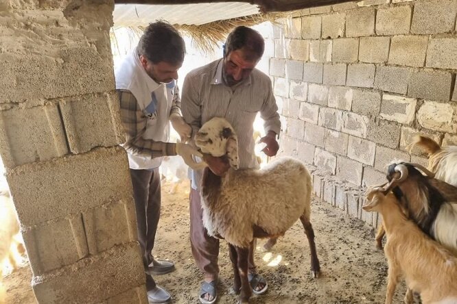 اردوی جهادی شهید جمهور در شهرستان دشتی برگزار شد اردوی جهادی شهید جمهور در شهرستان دشتی برگزار شد
