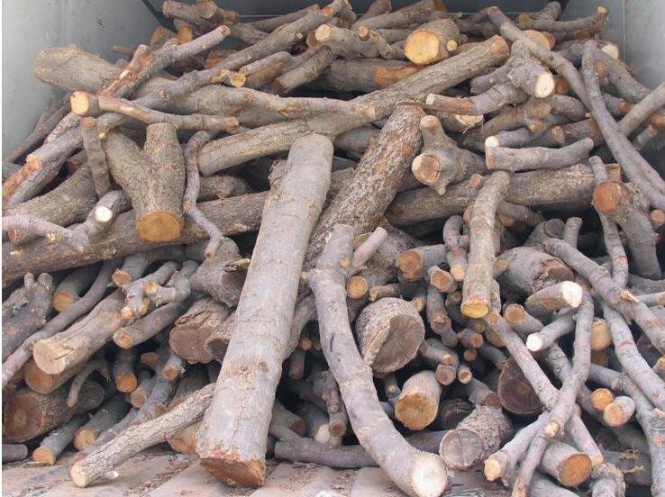 ۵ تن چوب قاچاق در کازرون کشف شد